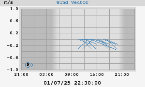 Wind Vector